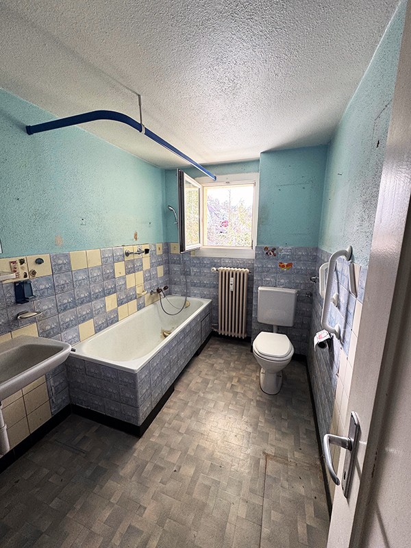 Facklam Renovation Pratteln Existing Condition